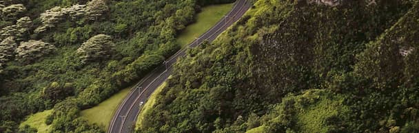Anwendungsmodelle Landstraße im grünen Waldgebiet